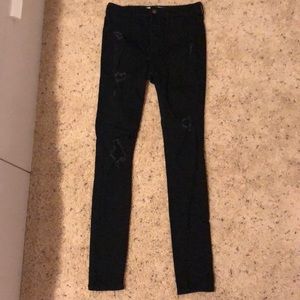 HOLLISTER JEAN